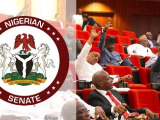 Southern senators discards Oduduwa Republic, Biafra, calls for One Nigeria
