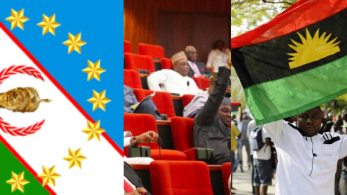 2023: Biafra, Oduduwa will Go Their Separate Way, If We Are Denied Presidency — South East Group warns