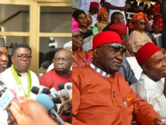 Igbos Should Focus On 2023 Presidency – Ohanaeze