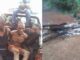 Amotekun,-Oodua-Peoples-Congress-Vigilantes-Arrest-6-Bandits-In-Oyo-Forest-With-183-Cows-Weapons-Cash