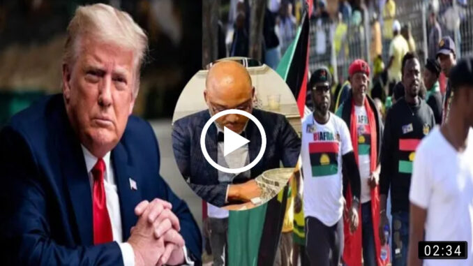 What Donald Trump is set to publish about Biafra