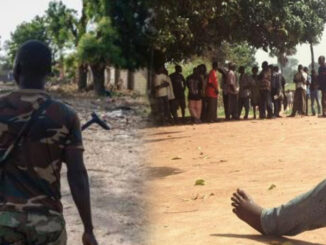 Nigerian Soldiers Kills