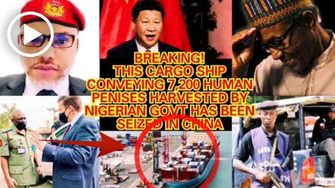 Mazi Nnamdi Kanu condemns the harvestation of 7,200 human penises by Nig Govt, cargo ship seized in China (Video)