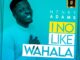I No Like Wahala' by Henry Adams