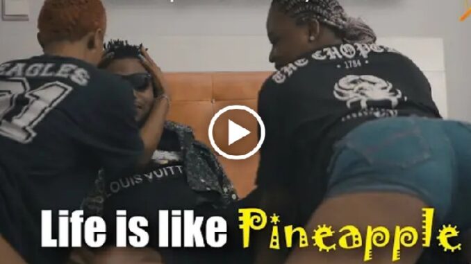 Xploitcomedy: life is like pineapple goes viral (video)