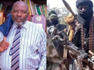 Half of Benue land occupied by armed bandits - ex-DG of SON laments