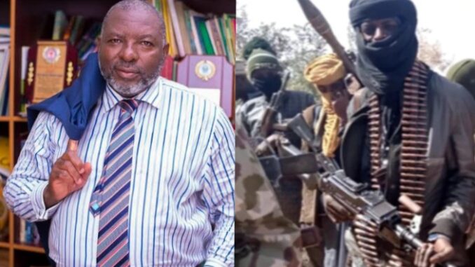 Half of Benue land occupied by armed bandits - ex-DG of SON laments