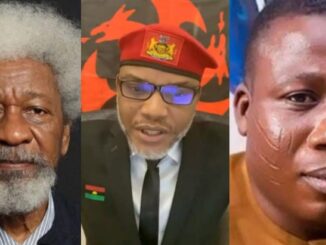 Wole Soyinka backs Biafra, Oduduwa Republics’ agitators, says it’s their right to secede