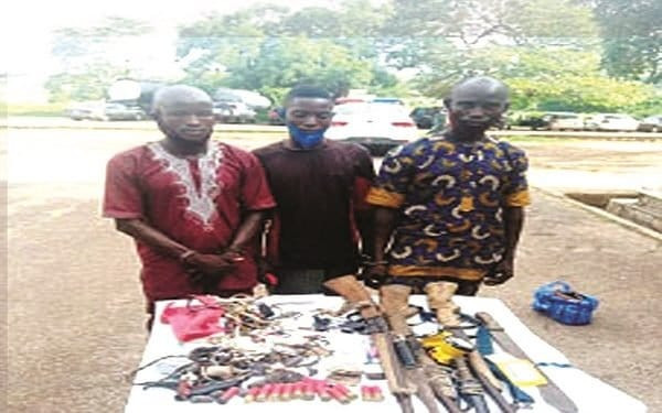 BREAKING: Three suspects arrested for killing six cows, injuring 13 others in Oyo
