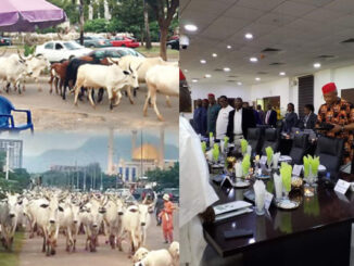 There Will Be No Peace - Fulani Group Warns Southern Governors Against Banning Open Grazing