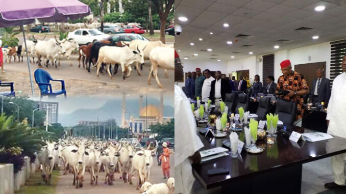 There Will Be No Peace - Fulani Group Warns Southern Governors Against Banning Open Grazing