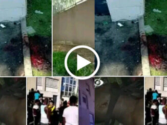 tears-as-three-nigerian-migrants-die-after-jumping-from-windows-of-10-storey-building-to-escape-fire-in-france-videos